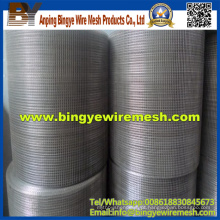 China Supplier Stainless Steel Mesh soldada para venda